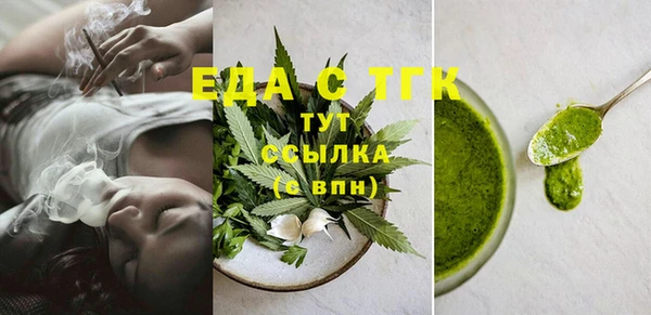 гидра Верхний Тагил