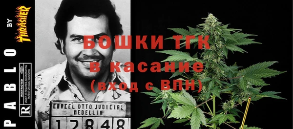 бошки Бронницы